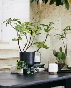 Nordal Troy Draagbare Lamp - 59081 -Woonverlichting Winkel nordal troy draagbare lamp 59081 3